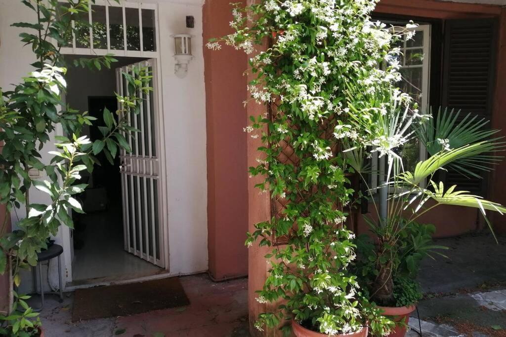 La Casa Della Mia Famiglia Apartment Рим Екстериор снимка