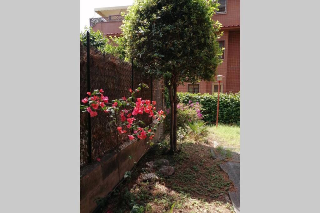 La Casa Della Mia Famiglia Apartment Рим Екстериор снимка